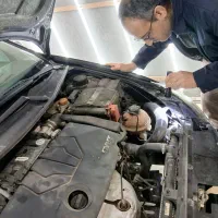 کارشناسی رنگ و فنی