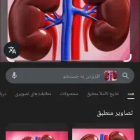 اهداکننده