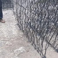 پخش شاخ گوزنی