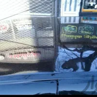 نقاشی اتومبیل جواد|خدمات موتور و ماشین|بیرجند, |دیوار