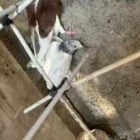 همه سالم و سرحال