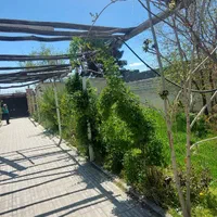 ویلا ۵۰۰و ۱۰۰۰ متری طاووسیه و اقدسیه و صفاییه|فروش دفتر صنعتی، کشاورزی، تجاری|کرج, عظیمیه|دیوار