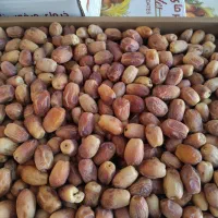 خرما زاهدی