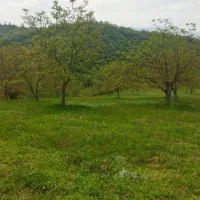 زمین
