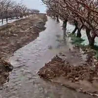 20هکتار-پسته-با-60-ساعت-اب-عمیق-در-نیشابور