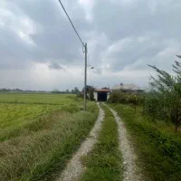 زمین-مسکونی-250-متری