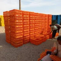 فروش عمده سبد پلاستیکی تولید کننده مستقیم|عمده‌فروشی|کرج, اتمسفر|دیوار