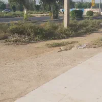 چهارواحده مسکونی تجاری اتوبان گلستان کند رو سلیمی|فروش آپارتمان|اهواز, پردیس دو|دیوار