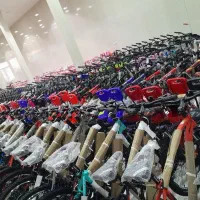 دوچرخه بدنه محکم&+لنتی 24