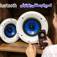 بلندگو اسپیکر سقفی دکوراتیو بلوتوثی آمپیلی کافه|سیستم صوتی خانگی|قم, آذر (نکویی)|دیوار