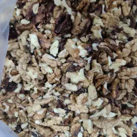 مغز گردو تازه