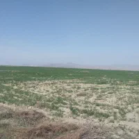 دامداری صنعتی نیمه کاره