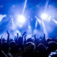 گروه موسیقی