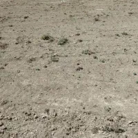 زمین-مسکونی