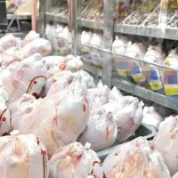 راهنمایی درمورد شغل مرغ فروشی