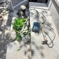 اکواریوم. شازند|ماهی|اراک, |دیوار