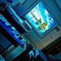 تست راایگان انواع مختلف ویدئو پروژکتور در فضای شما