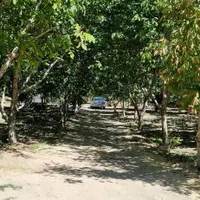 باغ درجه یک در پل زمانخان|فروش دفتر صنعتی، کشاورزی، تجاری|اصفهان, سپاهان‌شهر|دیوار