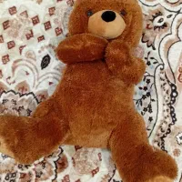 دوعدد خرس بزرگ