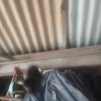 کاشی بر. و پرژکتور بزرگ