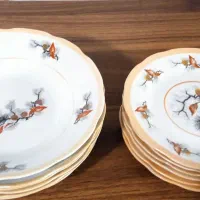 پیش دستی و خورشت خوری نو نو