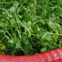 سفارش سبزی به صورت کلی، ویژه رستوران و سوپرمارکت|خوردنی و آشامیدنی|سبزوار, مدرس|دیوار