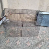 قفس|لوازم جانبی حیوانات|اصفهان, سودان|دیوار