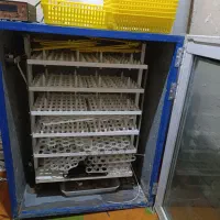 دستگاه جوجه کشی