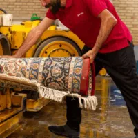 جذب نیرو در قالیشویی