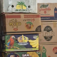 کارتن اسباب کشی
