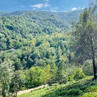 دنبال یک ویلا هستی به این میگن بهشت|فروش خانه و ویلا|شفت, |دیوار