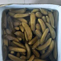 پخش خیارشور حلب درجه۱ و زیتون حلب سوپرویژه صالحی