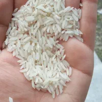 برنج هاشمی اعلا درجه یک