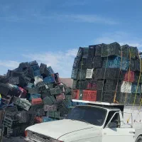 خرید سبد و کارتن موزی  پلاستیک