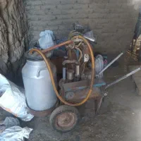 شیردوش