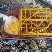 قفسه کتاب