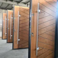 راهنمایی نقاش درب ضد سرقت و اتاقی|فعالیت داوطلبانه|باسمنج, |دیوار