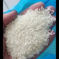 برنج نمیدانه پاکستانی|خوردنی و آشامیدنی|بندر ماهشهر, |دیوار