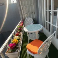 میز و صندلی پلیمری،ویلاباغی،کافه،تراس،مدل طاووسی|میز و صندلی غذاخوری|تهران, امیریه|دیوار