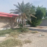 باغ شهری روستای چاه عربی اتوبان بوشهر برازجان|فروش خانه و ویلا|برازجان, |دیوار