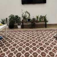 سوئیت-35متری