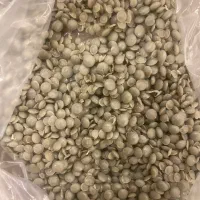 گرانول PE عدسی / باکیفیت