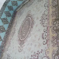 شادگان مشمولی