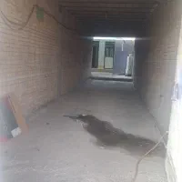 ویلایی-عمله-سیف