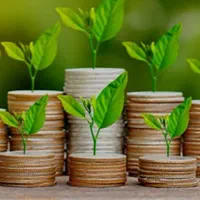 ۸۰۰میلیون نقد جهت سرمایه گذاری