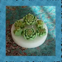 شمع مدل کاکتوس