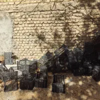 سبد