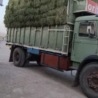 یونجه|لوازم جانبی حیوانات|پلدختر, |دیوار