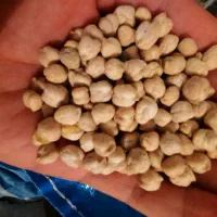 نخود مرکزی|عمدهفروشی|چهارباغ, |دیوار