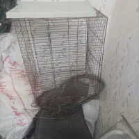 قفس پرنده